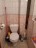 Продажа квартиры Комендантский, 8к2
