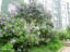 Продажа квартиры Возрождение, Центральная, 11