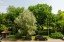 Продажа квартиры Улофа Пальме, 1