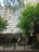 Продажа квартиры Ланское, 14 к. 1