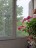 Продажа квартиры Рощино, Социалистическая, 96