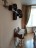Продажа квартиры Красное Село, Огородная, 17 к. 2