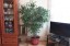 Продажа квартиры Электросталь, Советская, 17 литер А