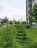 Продажа квартиры Старая, Иоанна Кронштадтского, 3