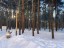 Продажа квартиры Люберцы, Октябрьский, 60 лет Победы, 10 литер А