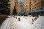 Продажа квартиры Вернадского, 92
