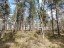 Продажа квартиры Кузнечное, Гагарина, 1