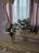 Продажа квартиры Парголово, Энгельса, 93