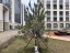 Продажа квартиры Арцеуловская, 9