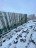 Продажа квартиры Мурино, Воронцовский, 21к2
