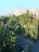 Продажа квартиры Трофимова, 19к2