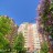 Продажа квартиры Полюстровский, 75