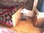 Продажа квартиры Сертолово-1, Ветеранов, 3