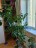 Продажа квартиры Ленинский, 72 к. 3