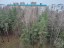 Продажа квартиры Сертолово-1, Центральная, 3