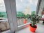 Продажа квартиры Сестрорецк, Приморское, 270