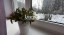 Продажа квартиры Выборг, Приморская, 28