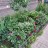 Продажа квартиры Учительская, 18к3