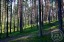 Продажа квартиры Саперное, Школьная, 9