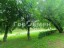 Продажа квартиры Бехтерева, 39к2