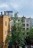 Продажа квартиры Тверская-Ямская 1-я, 13к1