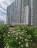 Продажа квартиры Чарушинская, 12к1