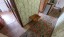 Продажа квартиры Усть-Луга, Ленрыба, 45