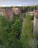 Продажа квартиры Сертолово-1, Кленовая, 5 к. 4