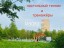 Продажа квартиры Шотмана, 9к1