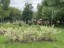 Продажа квартиры Дорожная, 7к3