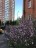 Продажа квартиры Сикейроса, 11 к. 1