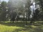 Продажа квартиры Дмитров, Рогачевская, 46