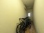 Продажа квартиры Соколиной Горы 8-я, 8к2