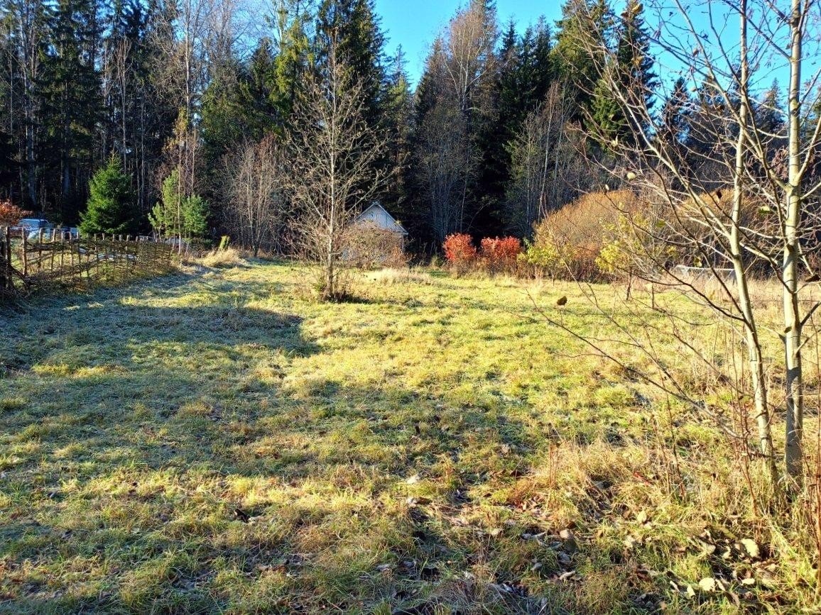 Продажа загородного дома Лужайка. Стоимость 1 400 тыс.р. Площадь 25 м?.