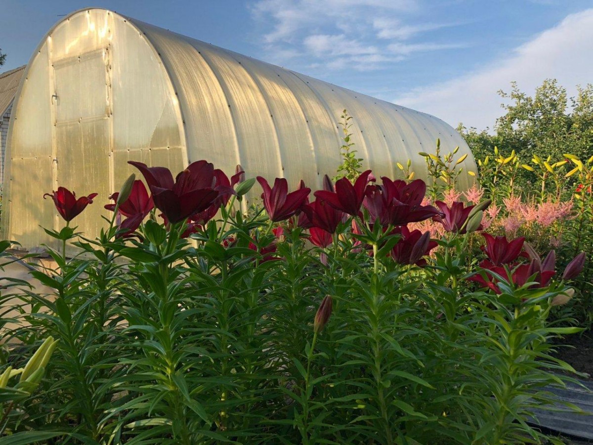 Продажа загородного дома Лесколово, Мечта (западный массив), к.нт.  Стоимость 8 900 тыс.р. Площадь 90 м?.