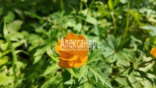 Продажа загородного дома Слапи, Центральная, 10 литер А