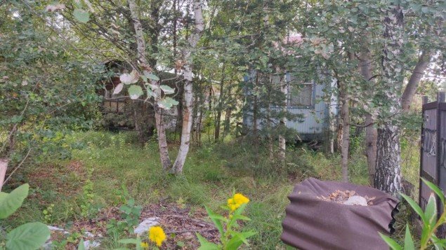 Продажа загородного дома Павловский Посад, Васютино, Зеленый Дол, к.нт