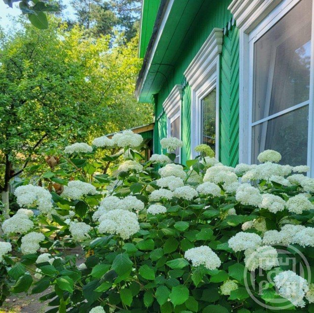 Продажа загородного дома Сестрорецк, 7-я