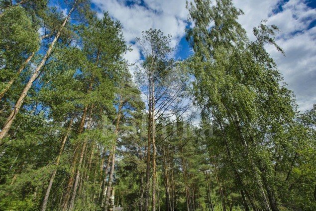 Продажа загородного дома Николина Гора