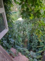 Раменское, Кратово, Голутвинская, 10