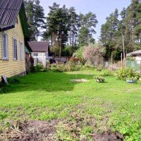 Паша, Пионерская, 1 литер а