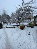Луга, Медведское, 21
