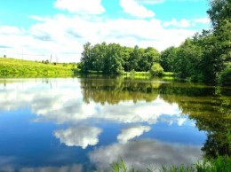Подушкино, 9