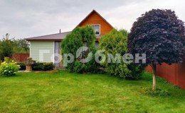 Черноголовка, Старки