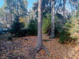 Всеволожск, Сергиевская, 118
