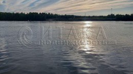 Важины, Трифанова