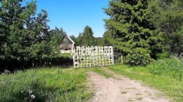 Красный Сокол