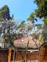 Королев, Кутузова, 9