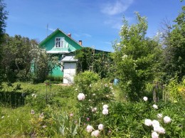 Дмитров, Пантелеево