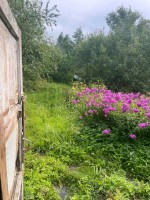 Ротково, Оазис, к.нт.